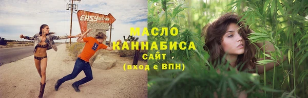 прущие крисы Вяземский