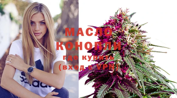 прущие крисы Вяземский
