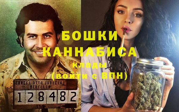 сатива Володарск