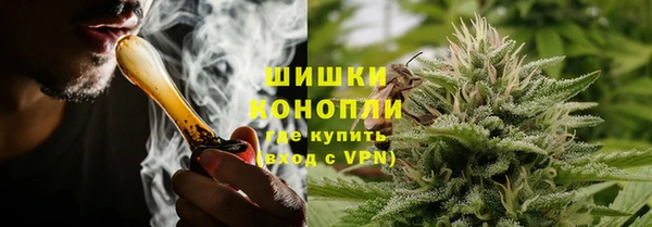 прущие крисы Вяземский