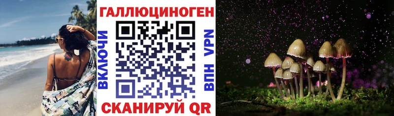 Псилоцибиновые грибы Magic Shrooms  где можно купить наркотик  Верхотурье 